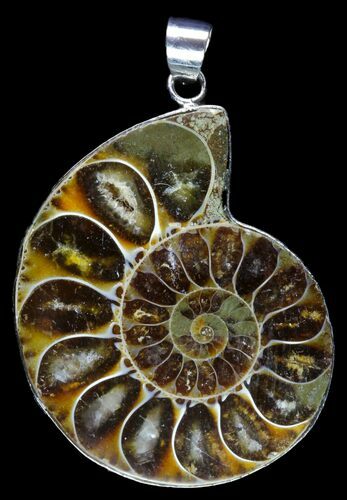 Fossil Ammonite Pendant - Million Years Old #89868